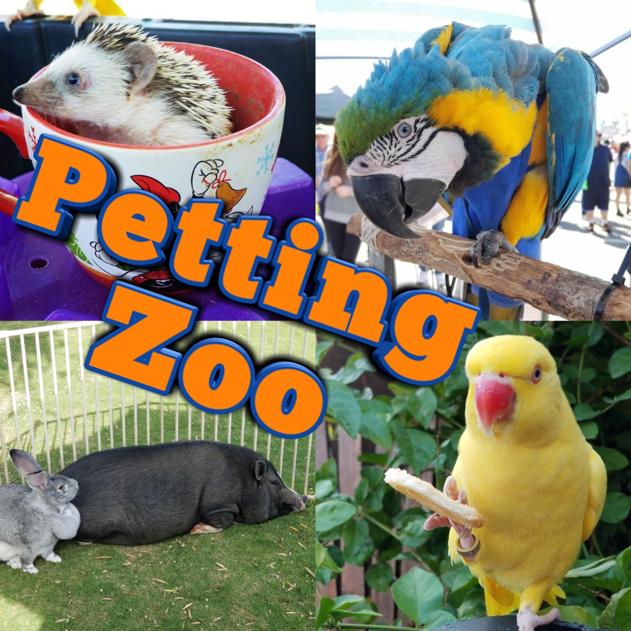 We Like to Party SD Image